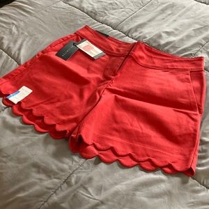 NWT The Limited scalloped edge shorts